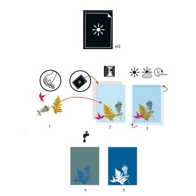 Papier Pour Cyanotype Djeco