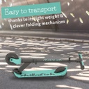 FLEXXI (Breeze) Chillafish