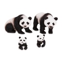 Set x4 Familia de - Osos Panda Terra