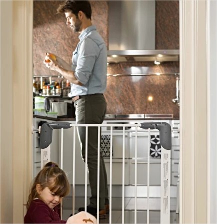 Puerta de Seguridad Alcala