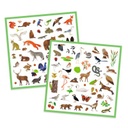 Fauna Djeco