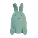 Alcancia verde conejo Hopping