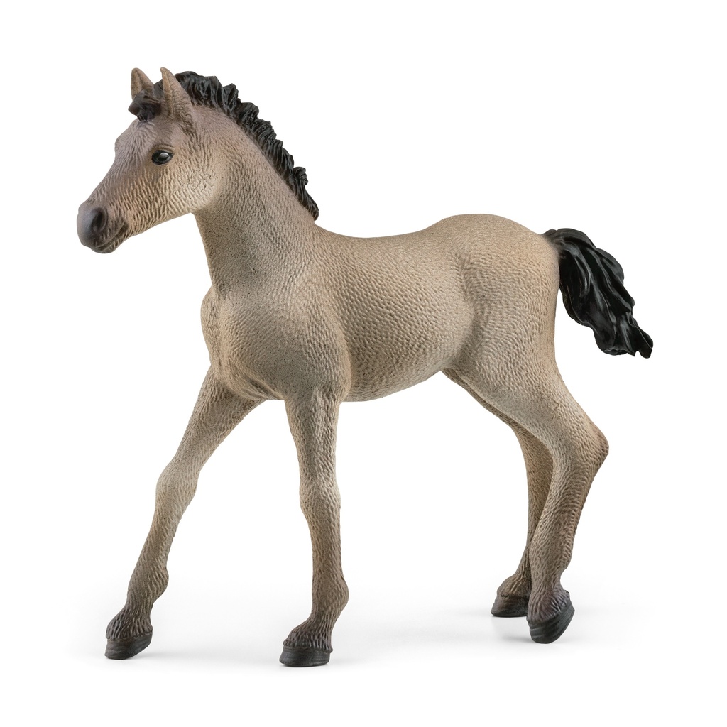 Criollo Definitivo Foal Schleich
