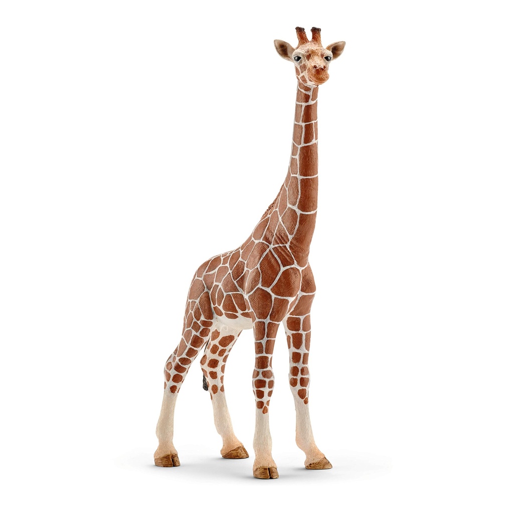Giraffe, Female Schleich