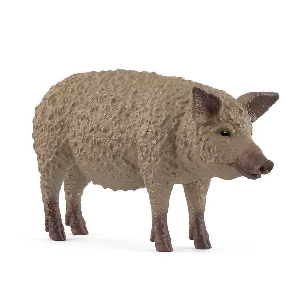 Mangalica Schleich
