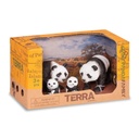 Set x4 Familia de - Osos Panda Terra