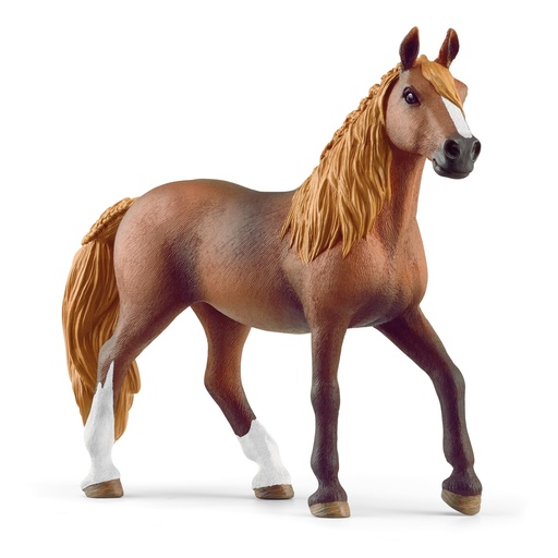[13953] Paso Peruano Mare Schleich