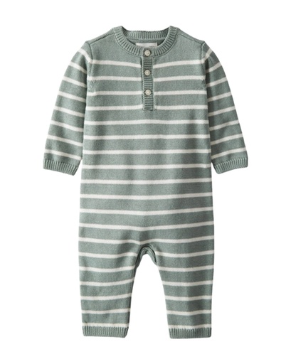 [195862611379] Monito A Rayas Alg Org Little Planet9M Carters