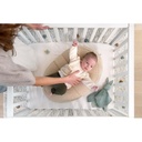 Almohadon Relax Teddy Biscuit Doomoo