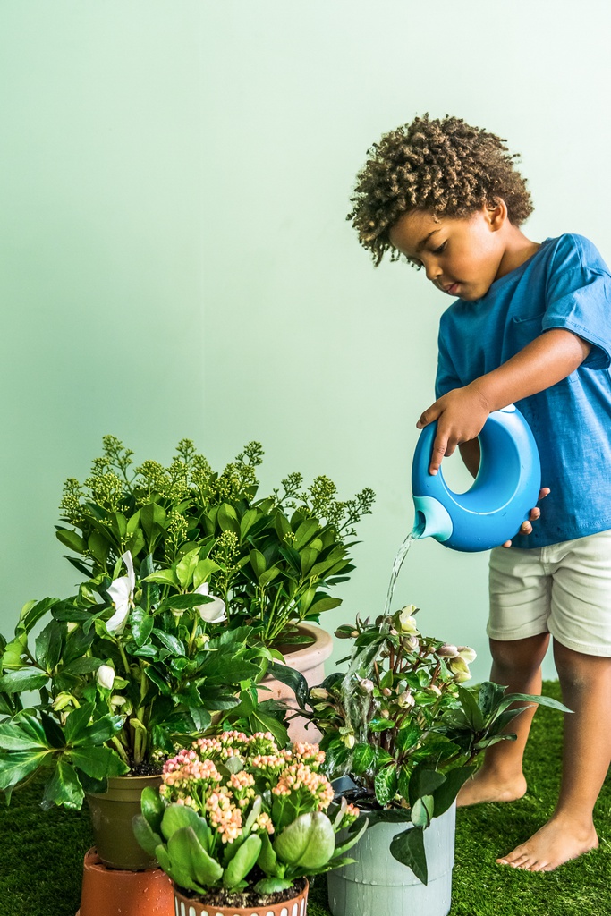 Cana Large Ocean Quut