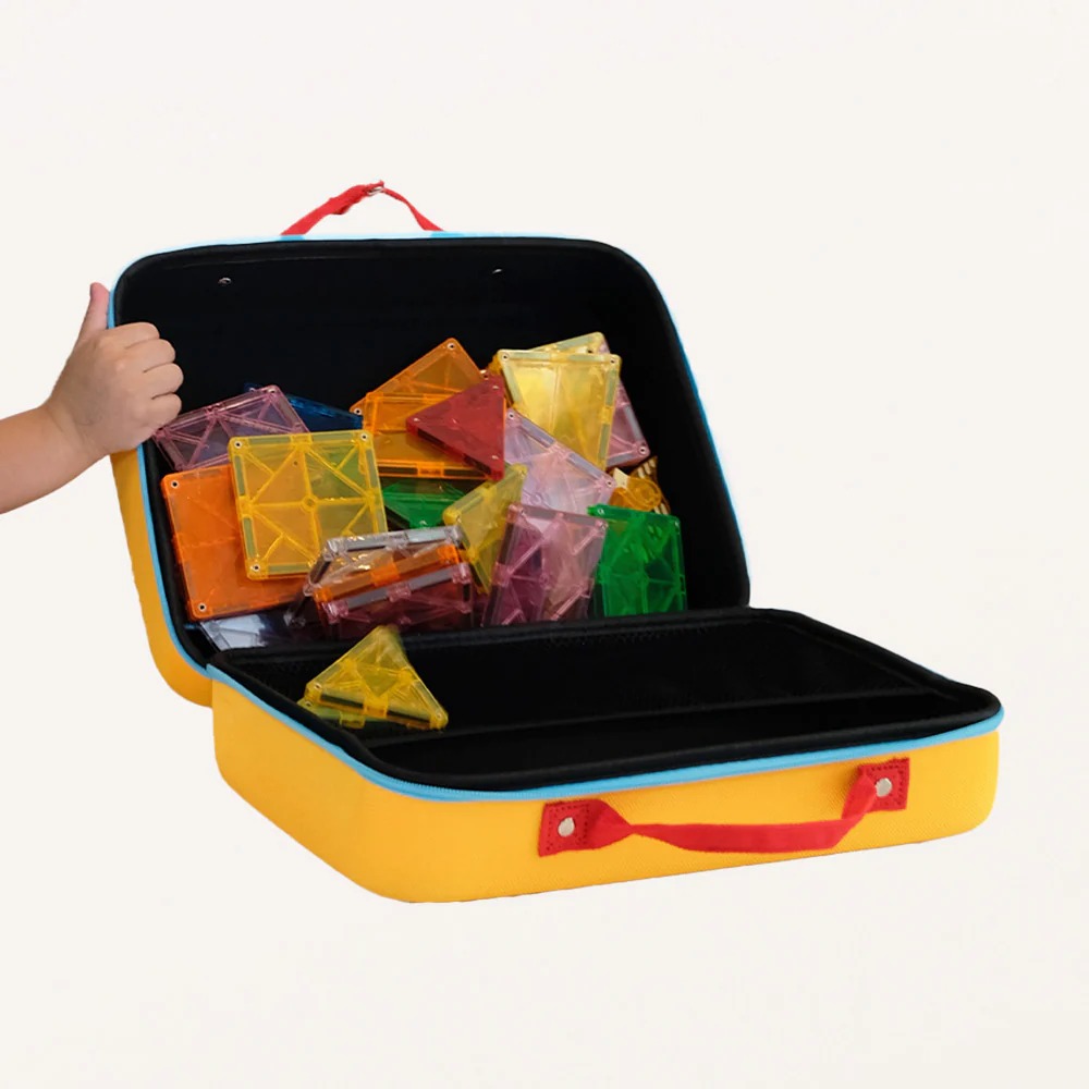 Imanix Case Braintoys