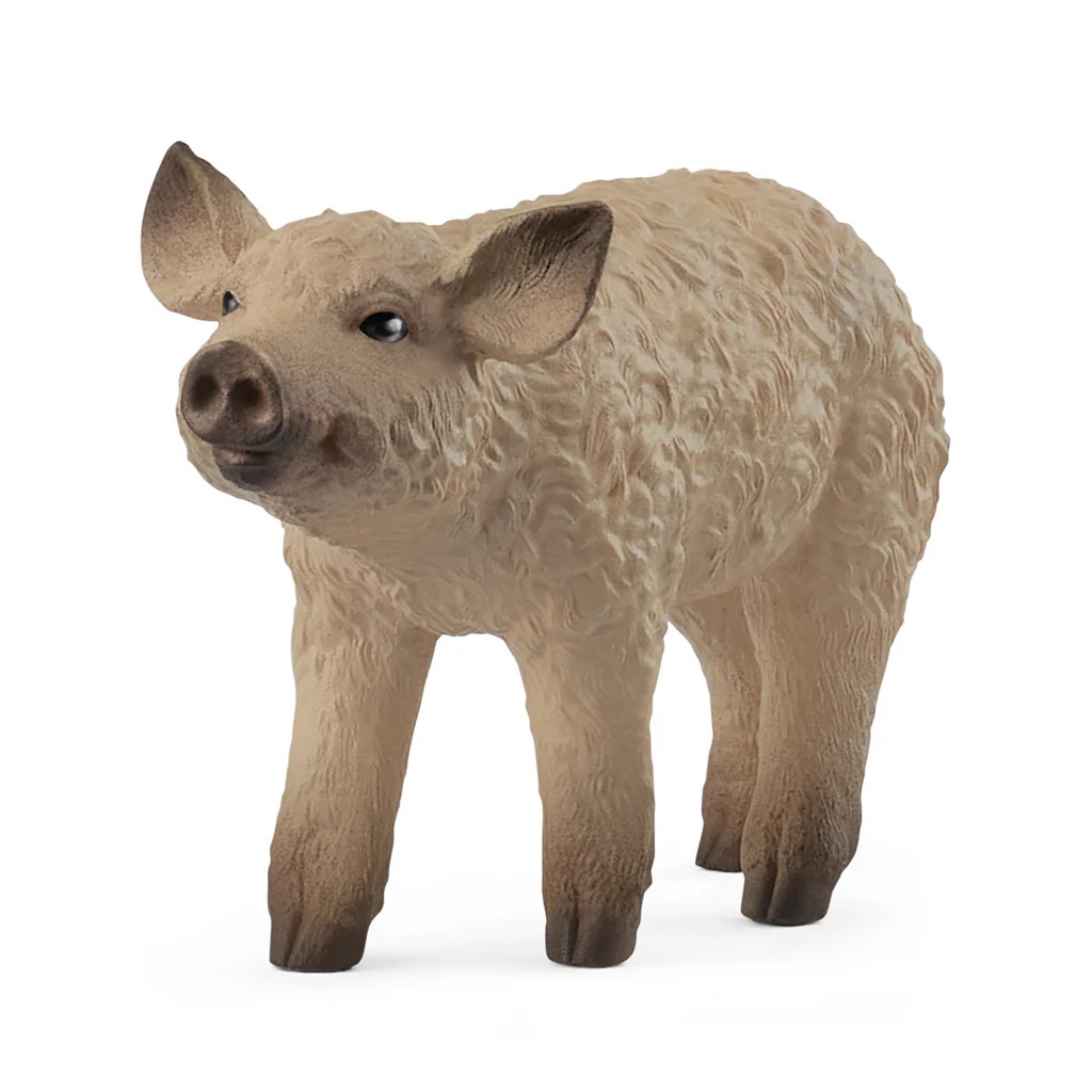 Mangalica Piglet Schleich