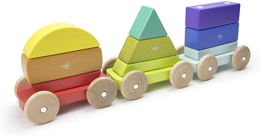 Shape Train - Rainbow Tegu