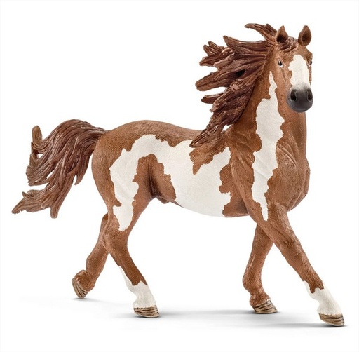 [13794] Pinto Stallion Schleich
