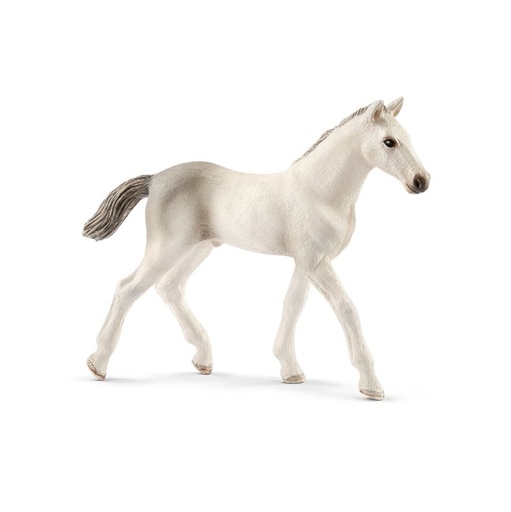 [13860] Holsteiner Foal Schleich