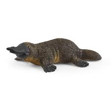 [14840] Platypus Schleich