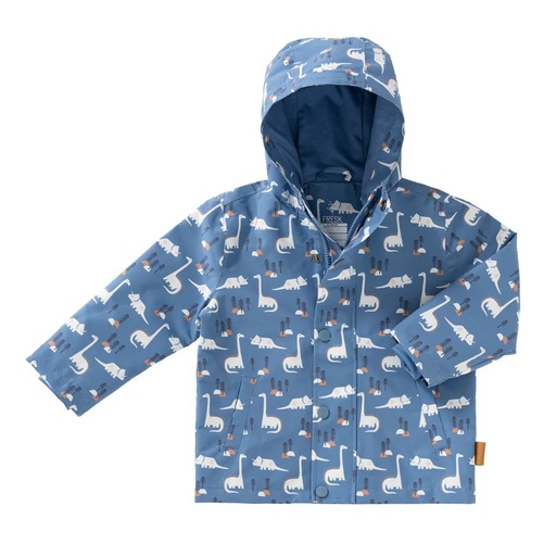 [RC10-06] Raincoat Dino 6 Yrs Fresk